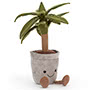 Amuseable Dragon Tree Small Image