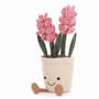 Amuseable Hyacinth - New Small Image