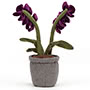 Jellycat Amuseable Orchid Back