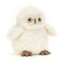 Apollo Owl 