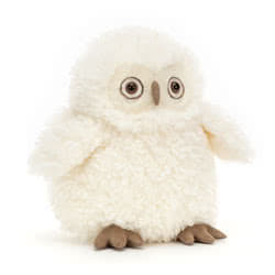 Apollo Owl 