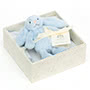 Jellycat Bashful Blue Bunny Gift Set Together