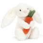 Bashful Bunny With Carrot