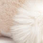 Jellycat Bashful Luxe Bunny Willow Tail