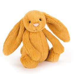 Bashful Saffron Bunny