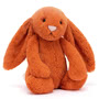 Bashful Tangerine Bunny