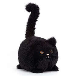 Caboodle Black Kitten