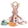 Cordy Roy Bunny Activity Toy