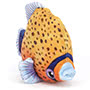 Fishiful Orange Small Image