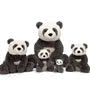 Jellycat Harry Panda Cub - Huge Group