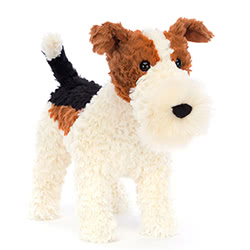 Hector Fox Terrier