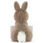 Jellycat Messenger Bunny Back