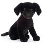 Pippa Black Labrador Small Image