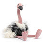 Ramonda Ostrich Small Image