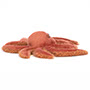 Jellycat Spindleshanks Crab Side