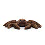 Jellycat Spindleshanks Spider Small Front