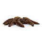 Jellycat Spindleshanks Spider Small 