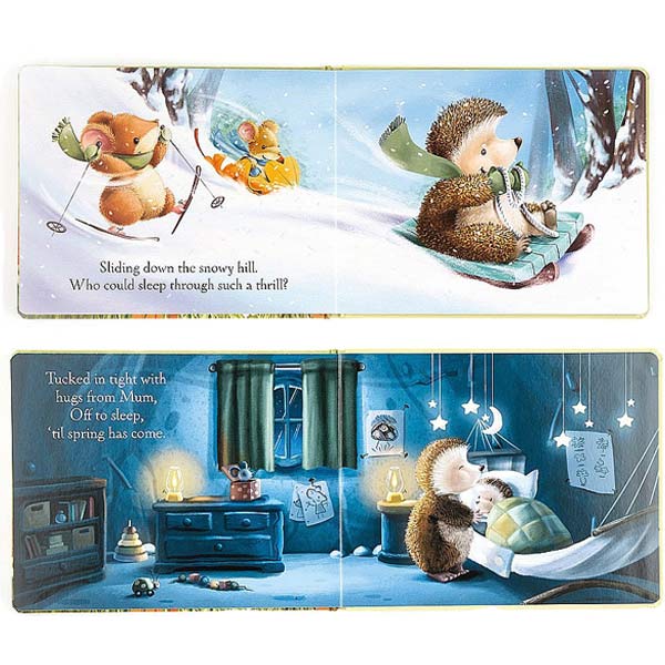 Curious Little Hedgehog Book