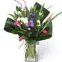 Fleurtations Tulip and Freesia Arrangement 