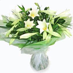 Flowers White Lily Hand Tied