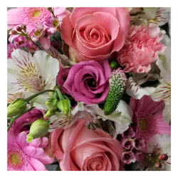 Flowers Florists Choice Pink and White