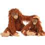 Moulin Roty Tout Autour du Monde (All Around the World) is another addition to their premiere soft toy ranges.  Based on the diversity of the animals that live on our amazing planet, from both land and sea.