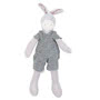 Little Barnabe Donkey Small Image