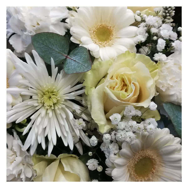National Flower DeliveryFlorists Choice White & Cream
