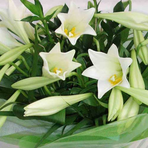 National Flower DeliveryWhite Lily Handtied Bouquet 