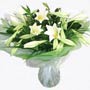 White Lily Handtied Bouquet  Small Image