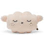 Ricesnooze Champagne Plush Cushion Small Image