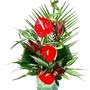 Flower Delivery Red Anthurium Vase Arrangement