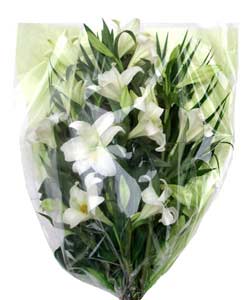 Longiflorum Lily Bouquet