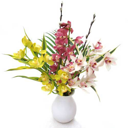 Flower Delivery Mixed Orchid Vase Arrangement