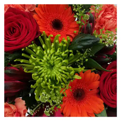 Hand Tied Flower Bouquet Classic Florists Choice Red & Orange flowers for Nottingham delivery.