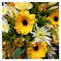 Flower Delivery Florists Choice Yellow & Cream 