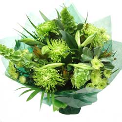 Nottingham Flowers Gorgeous Greens