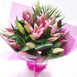 Hand Tied Pink Stargazer Lily Flower Bouquet for Nottingham delivery or collection.