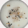 Potters Crouch Tonka Bean Sandalwood Scented Candle Close