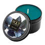 Scented Candle - Blue Basil