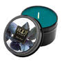 Root Scented Candle - Blue Basil 