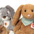 Teddy HermannBunnies & Rabbits