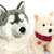 Teddy Hermann plush Dogs & Puppies, including Labradors, Cockapoos, Wirehaired Dachshunds and Jack Russell Terrier soft toys in sitting and standing styles, with recycled fillings and UK and International delivery..