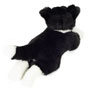 Teddy Hermann Border Collie Dog Lying 45cm Soft Toy back
