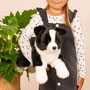 Teddy Hermann Border Collie Dog Lying 45cm Soft Toy insitu