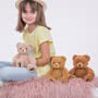 Teddy Hermann Brown Teddy Bear with Paws 25cm In Situ
