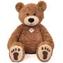 Brown Teddy Bear With Paws 75cm