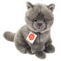 Carthusian Cat Sitting Soft Toy 20cm Small Image