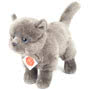 Carthusian Cat Standing Soft Toy