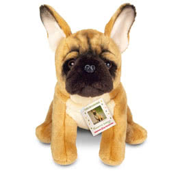Teddy Hermann French Bulldog sitting soft toy   in a 27 cm size. Coming in a rich golden-caramel fur body with a cream tummy and inner ears. The face is perfectly proportioned and captures the look exactly.